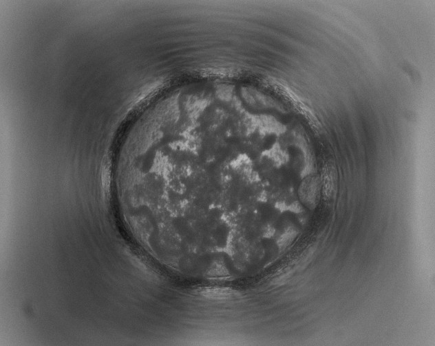 X0000116860637201001051425