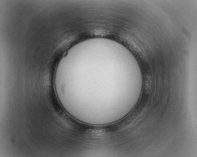 X0000116860639201001051425