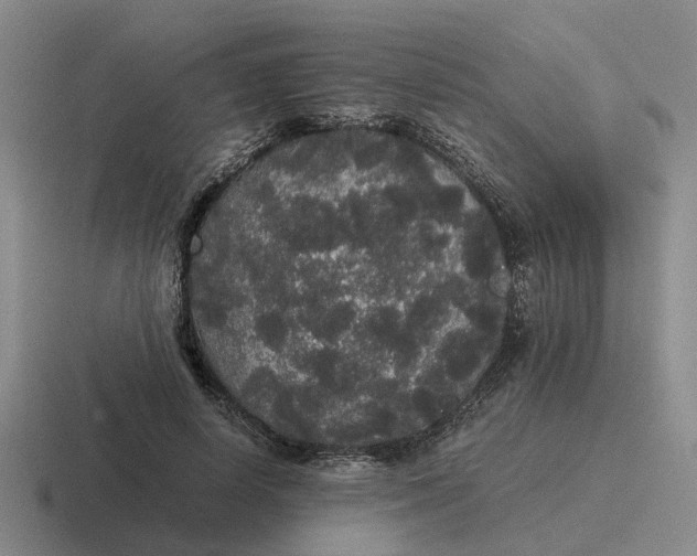 X0000116860642201001051425