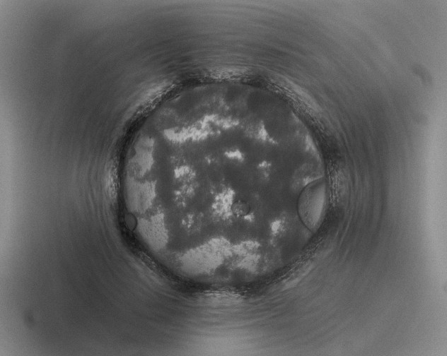 X0000116860644201001051425