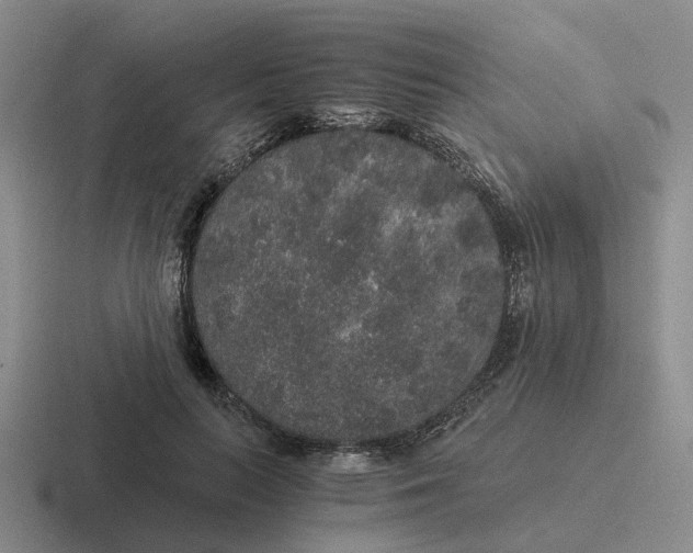 X0000116860647201001051425