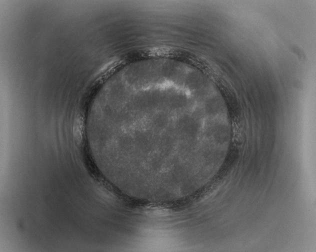 X0000116860648201001051426