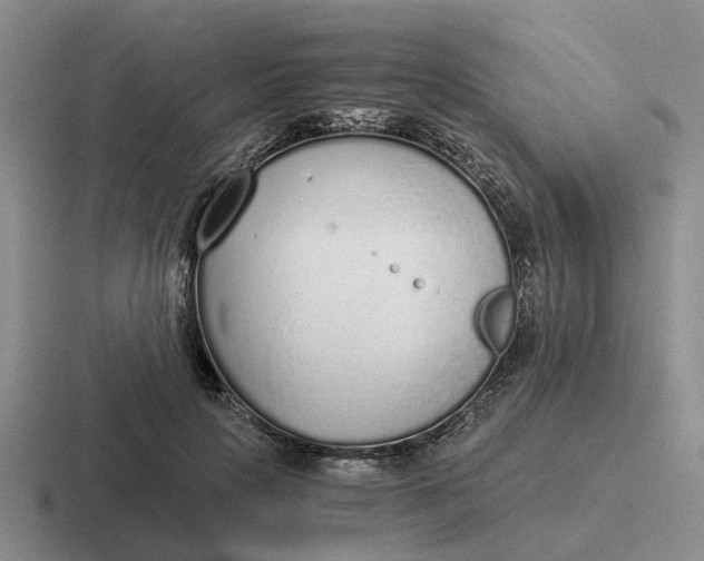 X0000116860649201001051426