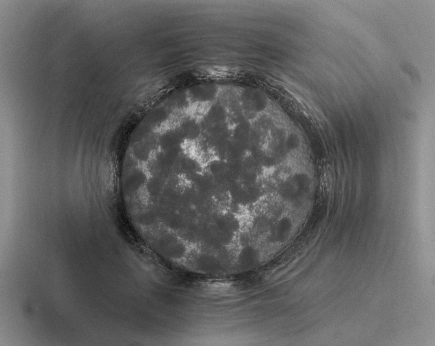 X0000116860651201001051426