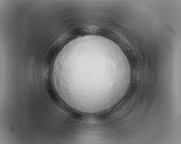 X0000116860652201001051426