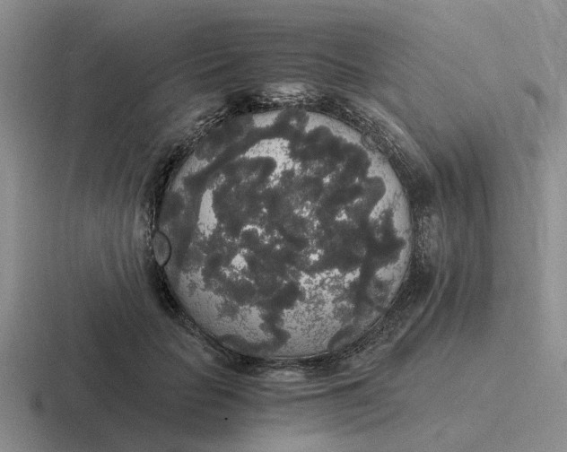 X0000116860653201001051426