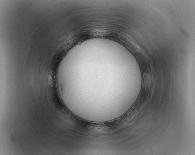 X0000116860655201001051426