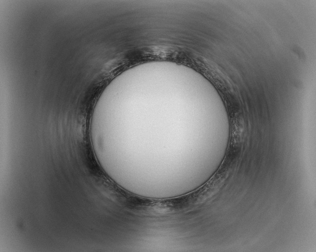 X0000116860656201001051426