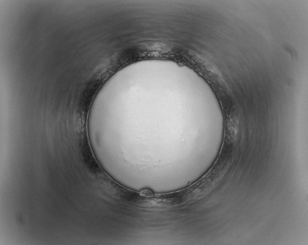 X0000116860657201001051426