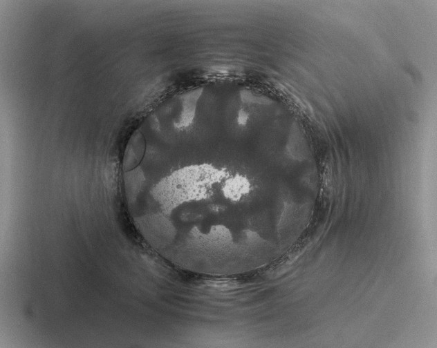 X0000116860659201001051426