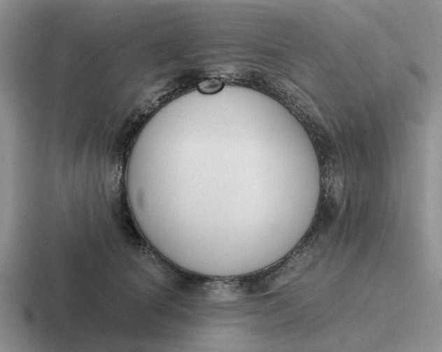 X0000116860660201001051426