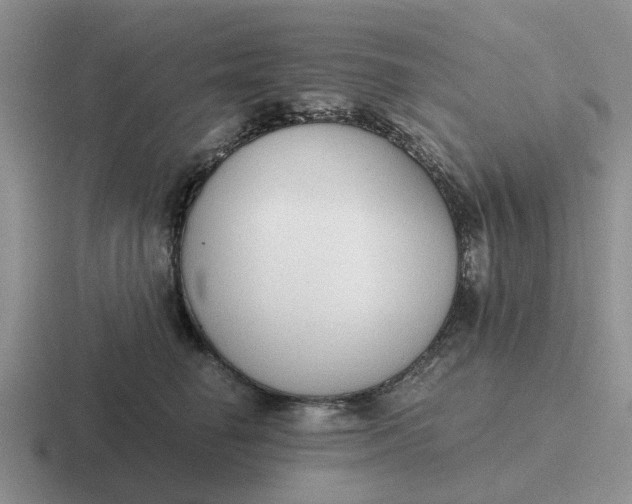 X0000116860662201001051426