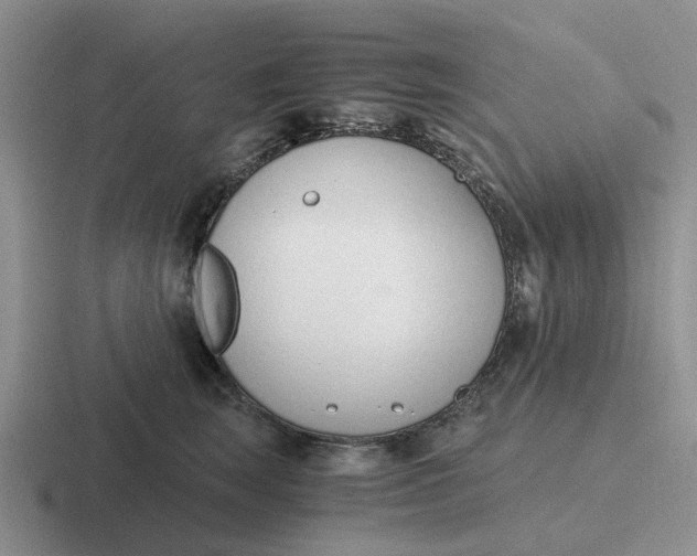 X0000116860663201001051426