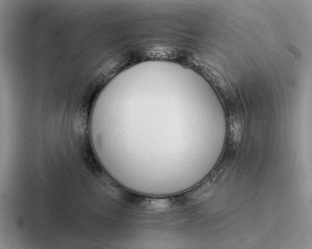 X0000116860665201001051426