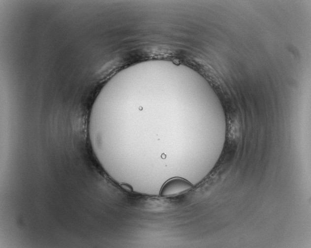 X0000116860666201001051426