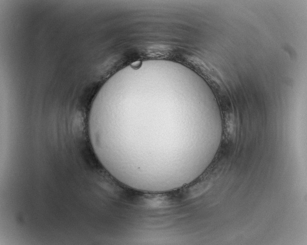 X0000116860667201001051426