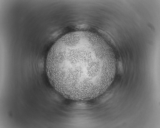 X0000116860668201001051426