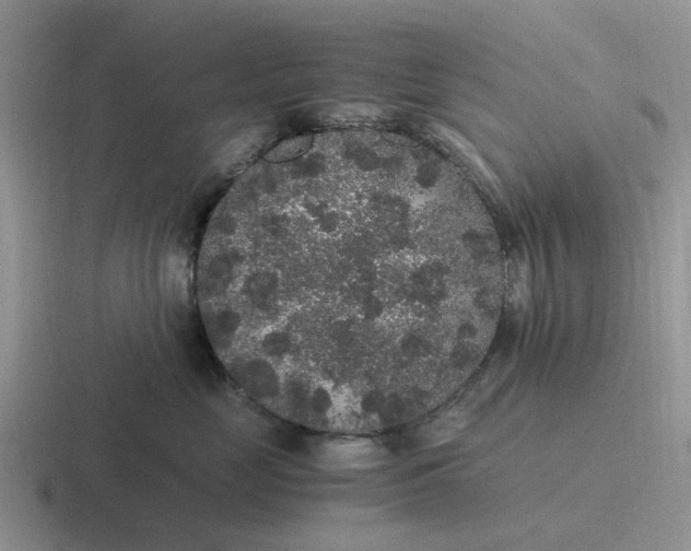 X0000116860669201001051426