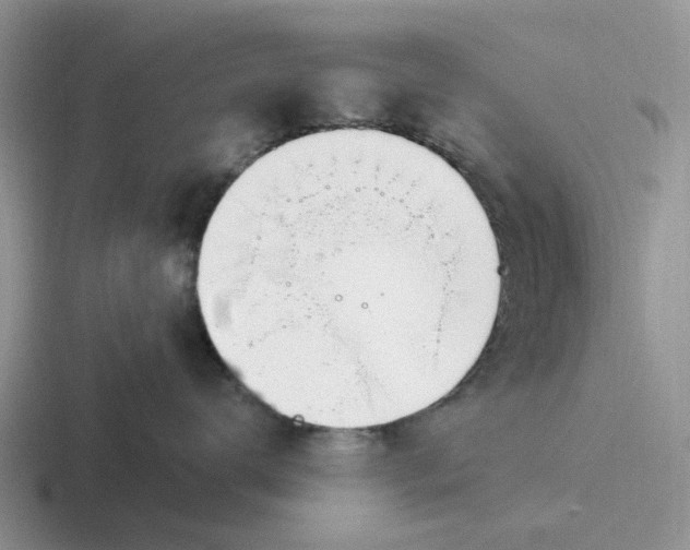 X0000116860672201001051426