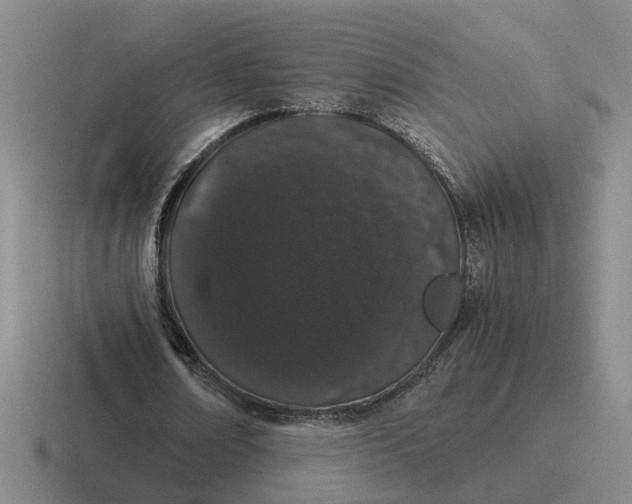 X0000116860674201001051425