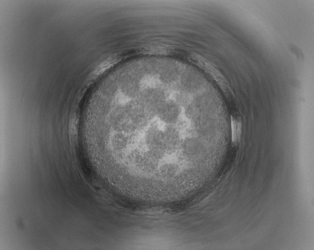 X0000116860675201001051425