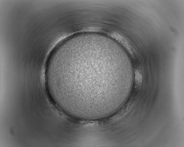 X0000116860676201001051425