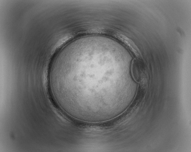 X0000116860677201001051425