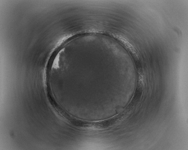 X0000116860678201001051425