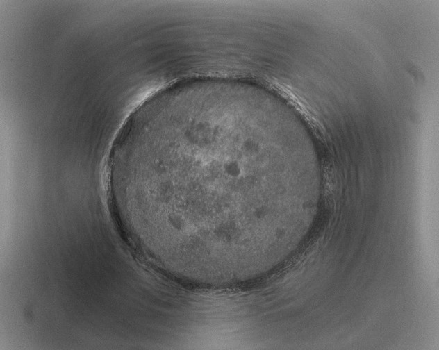 X0000116860679201001051425