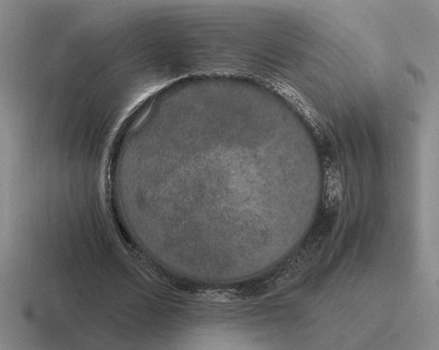 X0000116860680201001051425