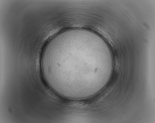 X0000116860681201001051425