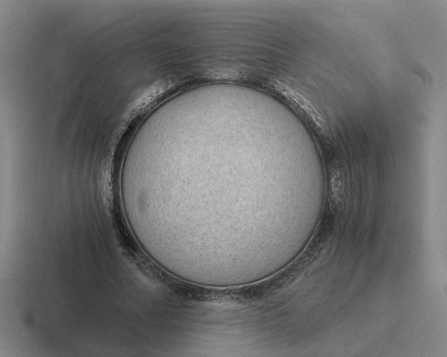 X0000116860682201001051425