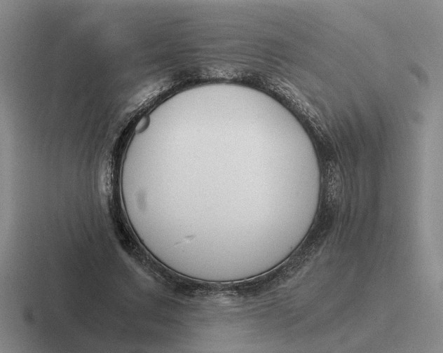 X0000116860683201001051425