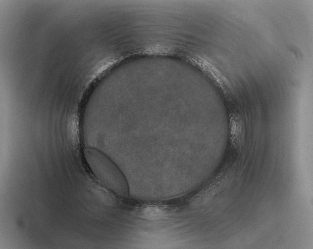 X0000116860684201001051425