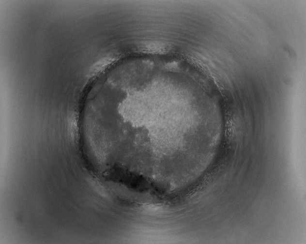 X0000116860688201001051425