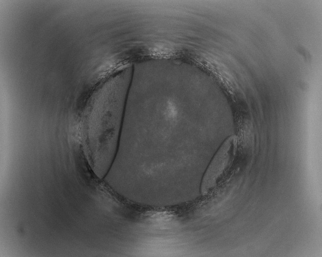 X0000116860689201001051425