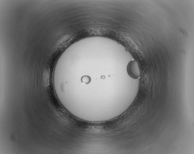 X0000116860694201001051425