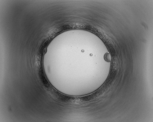 X0000116860695201001051425