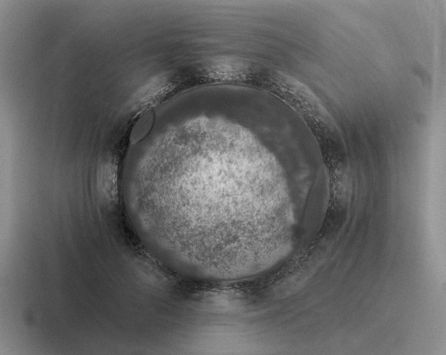 X0000116860696201001051425