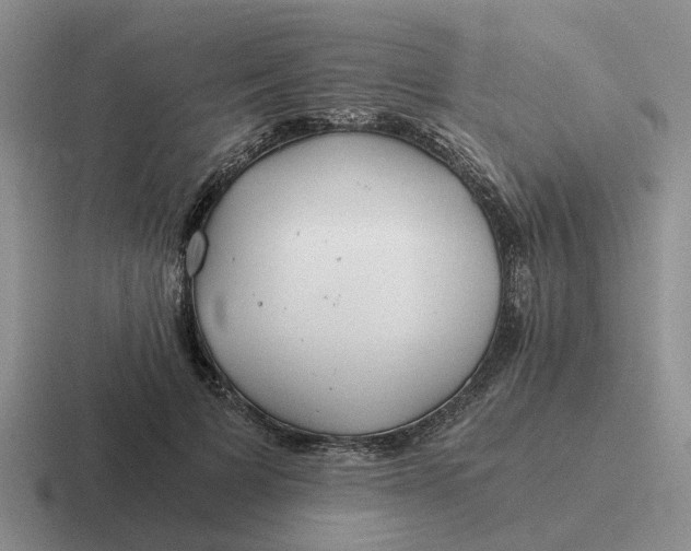 X0000116860697201001051425