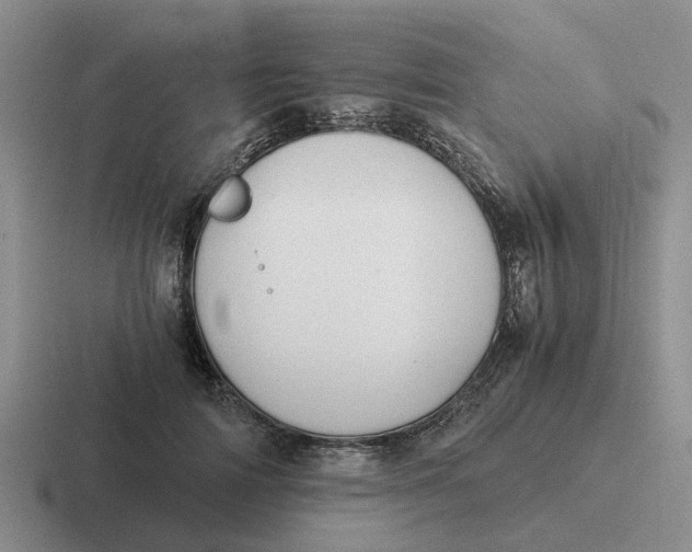 X0000116860698201001051425