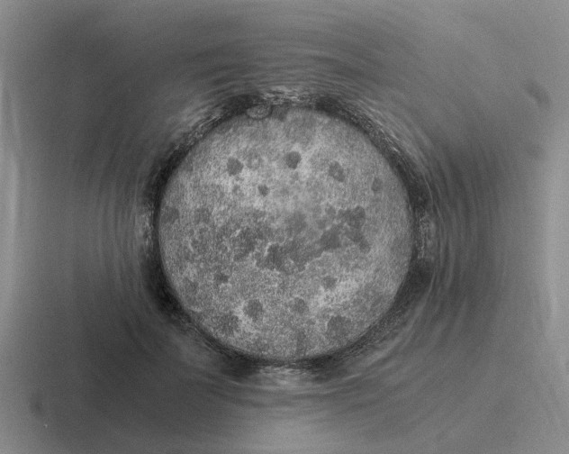 X0000116860699201001051425