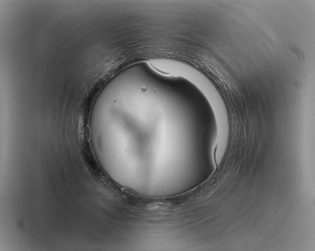 X0000116860700201001051425