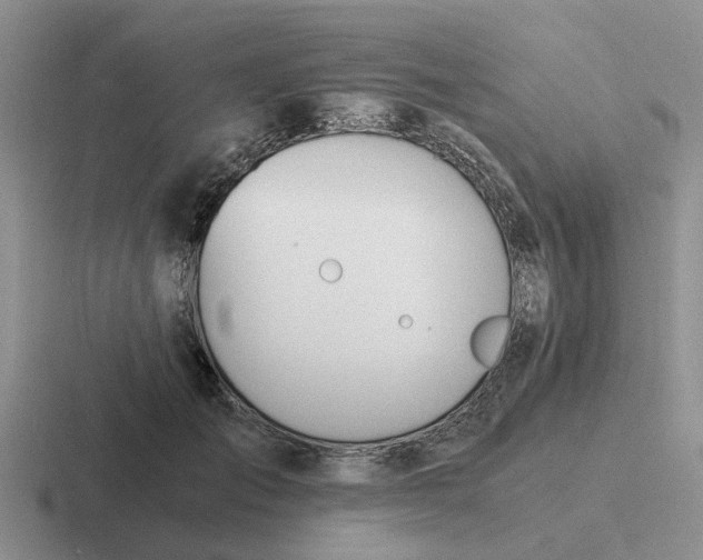 X0000116860701201001051425