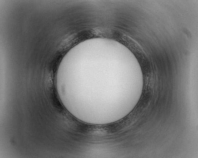 X0000116860702201001051425