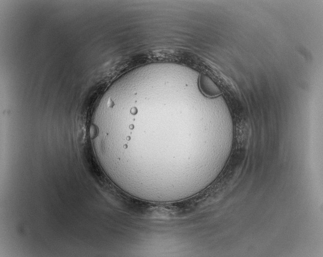 X0000116860703201001051425