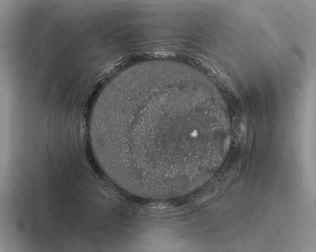 X0000116860704201001051425