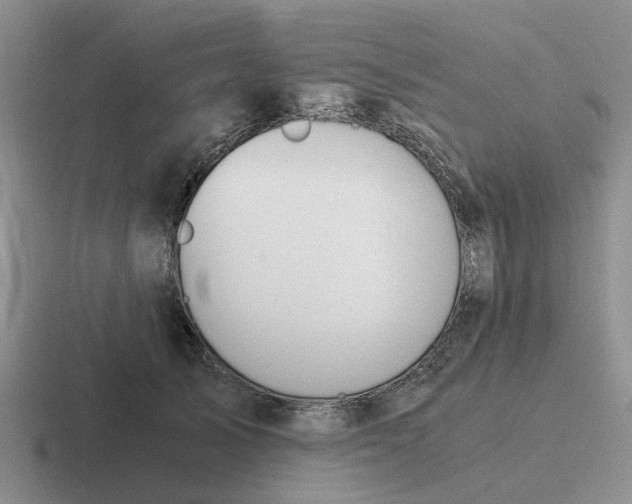 X0000116860705201001051425