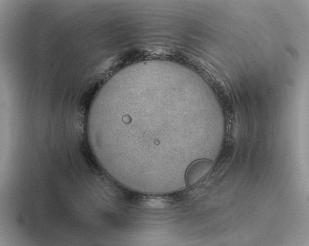 X0000116860710201001051425