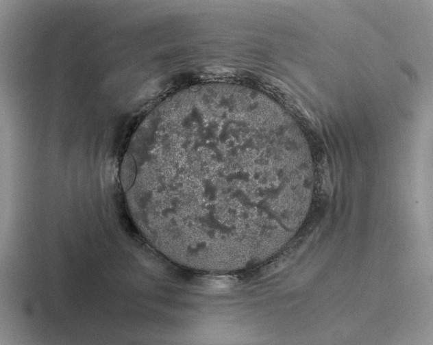 X0000116860711201001051425